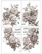 May's Roses Decor Transfer | IOD